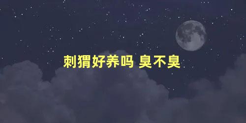 刺猬好养吗 臭不臭